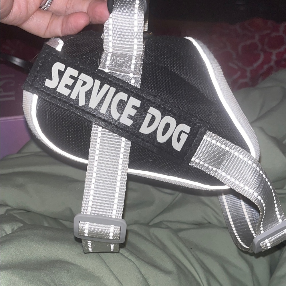 Black and White Service Dog Harness
